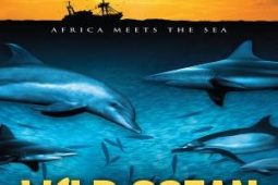 Wild ocean photo2