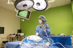 Surgical technology