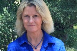 Ann todd