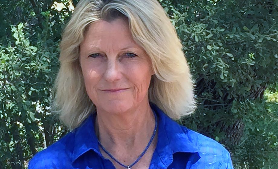 Ann todd