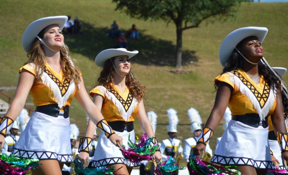 Bandandbelles pic