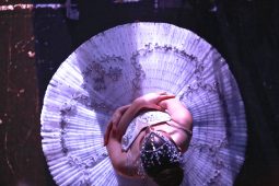 Tjc nutcracker 2017