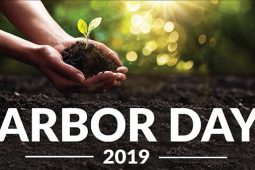 Arbor day for web