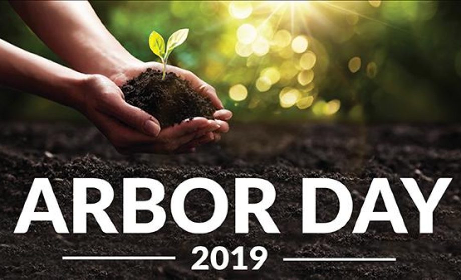 Arbor day for web