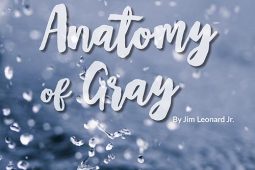 Anatomy of gray for web