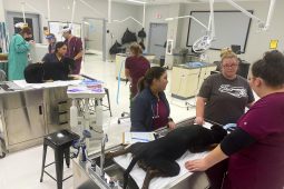 Tjc vet tech