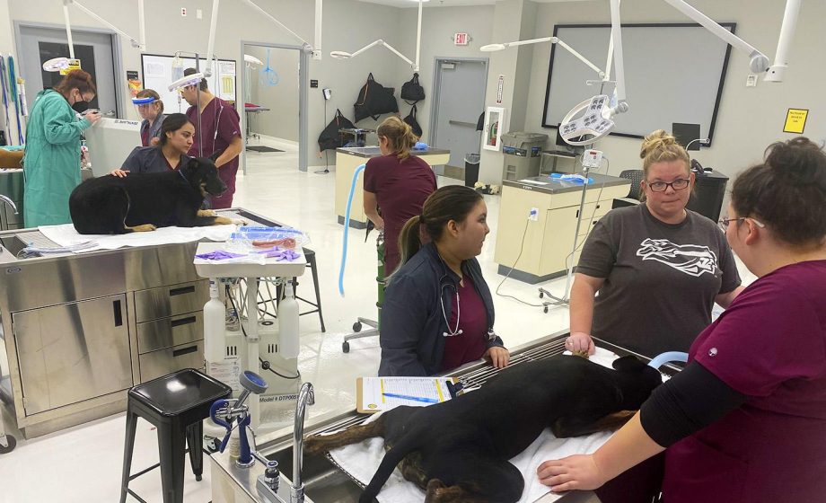 Tjc vet tech