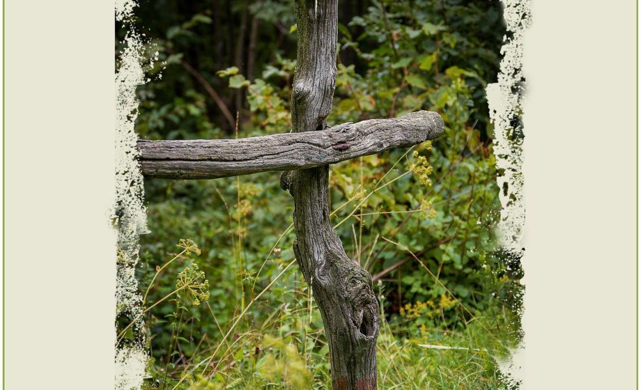 Tjc heathen valley
