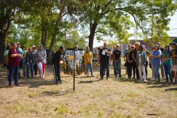 Tjc disc mejia toss