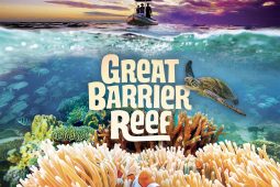 Tjc reef