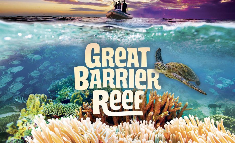 Tjc reef