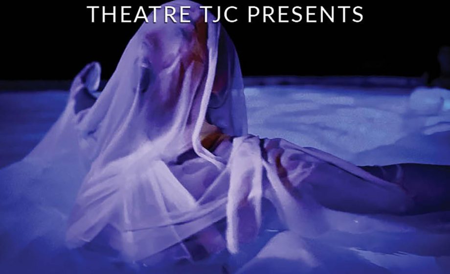 Tjc metamorphoses
