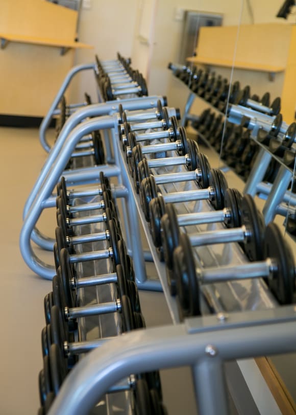 Dumbells halfpage sized