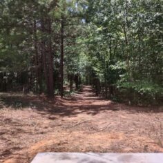 Disc course 1