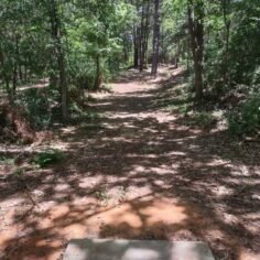 Disc course 2