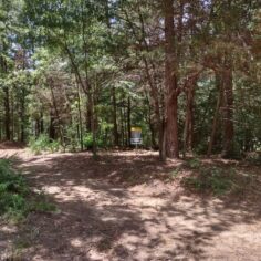 Disc course 3