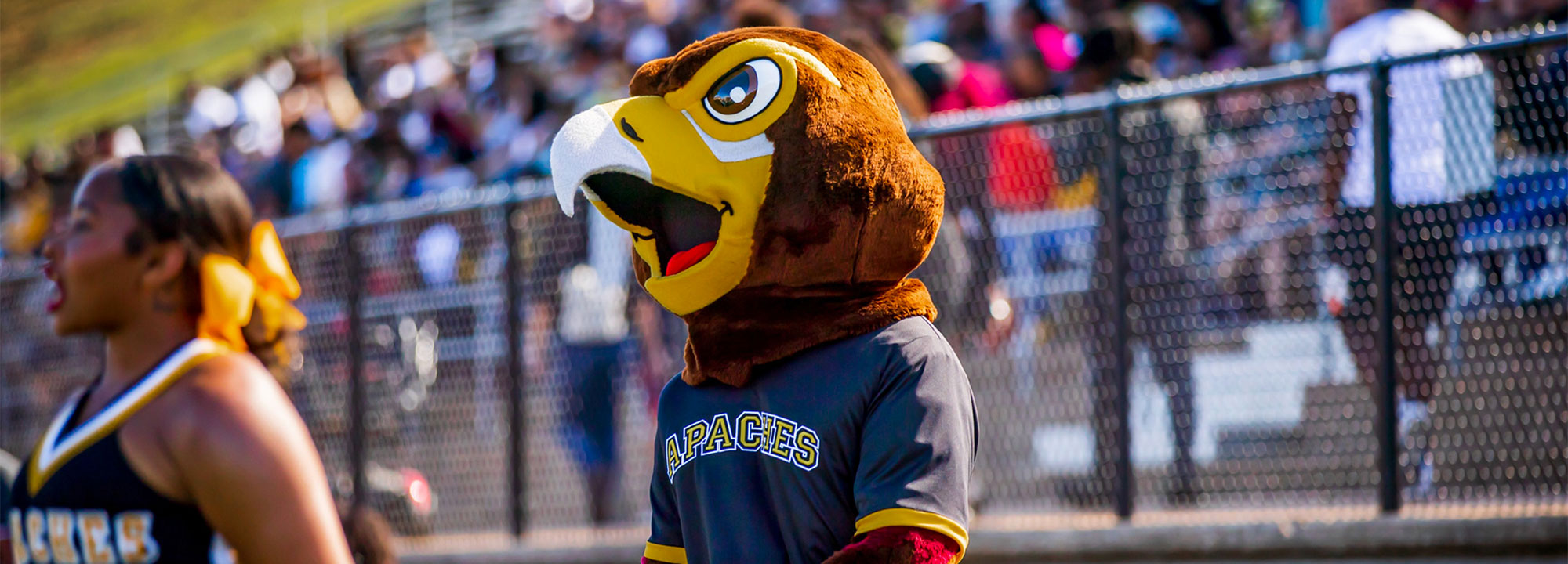 Hero mascot 1