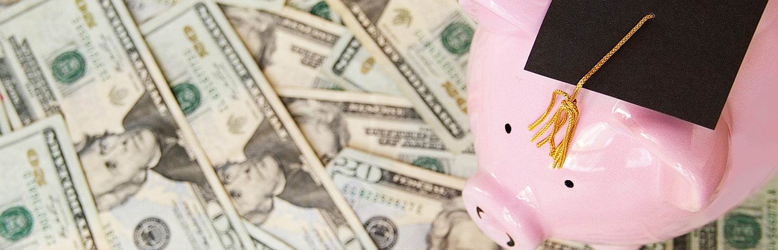 Loans header