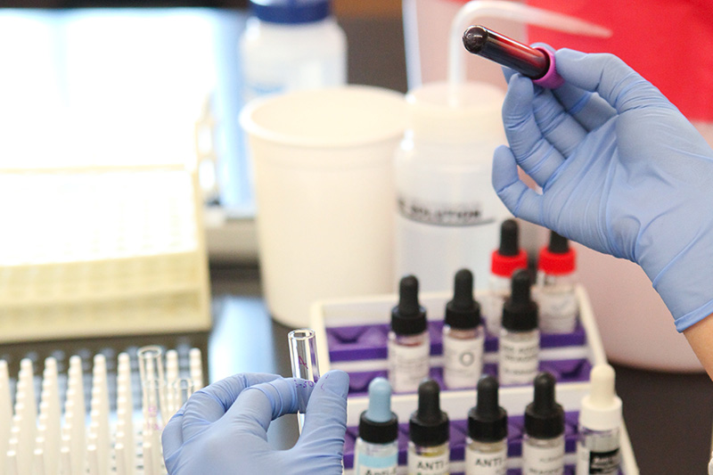 Medical Laboratory Technology