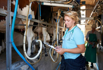 Veterinary Technician