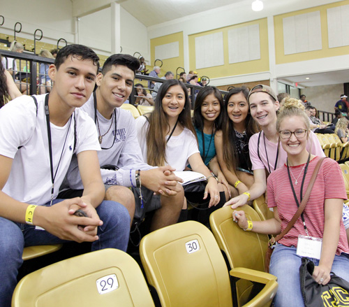 Nso students nso cards 3