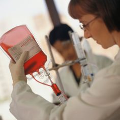 Phlebotomy cards sized