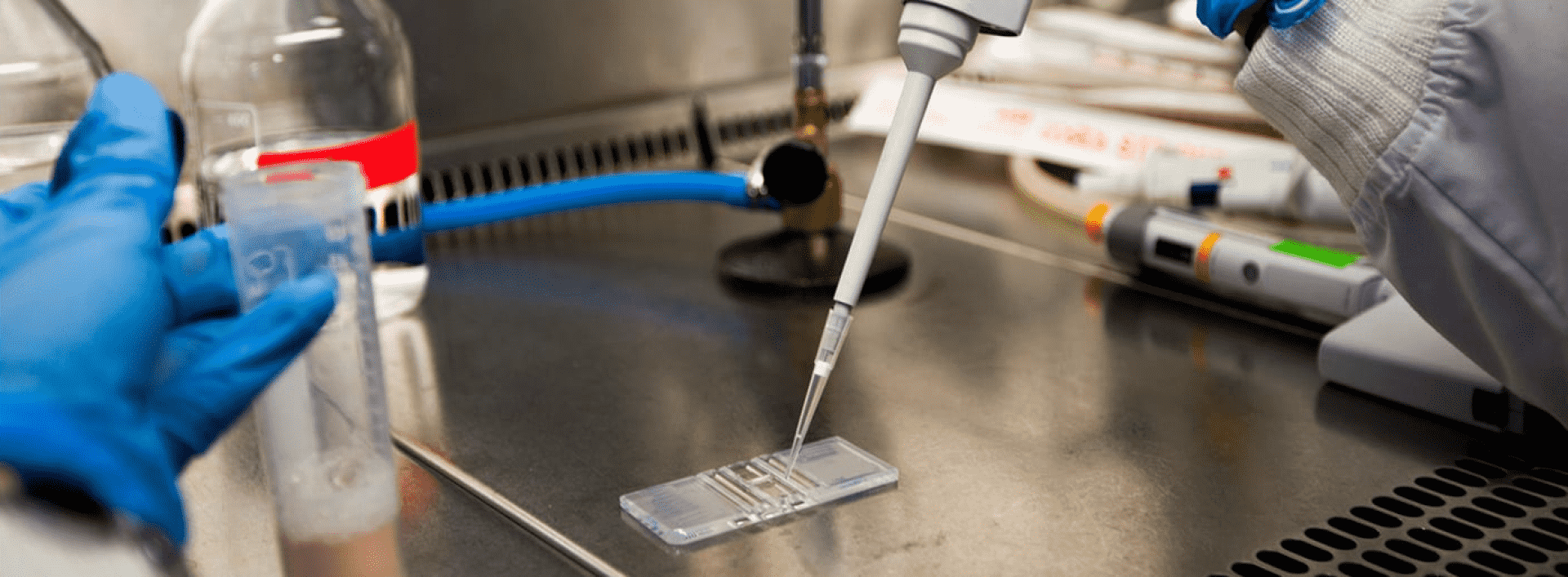 Gloved hands using a pipette on a microscope slide in a laboratory.