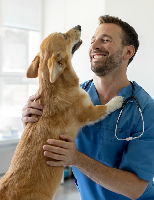 Pre-Veterinary