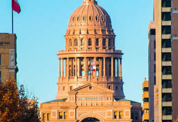 Government