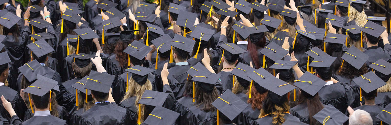 Graduates seated in caps and gowns at a ceremony, viewed from behind.