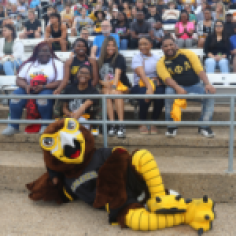 Harry the Hawk with Fans