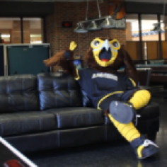 Harry the Hawk with a fan