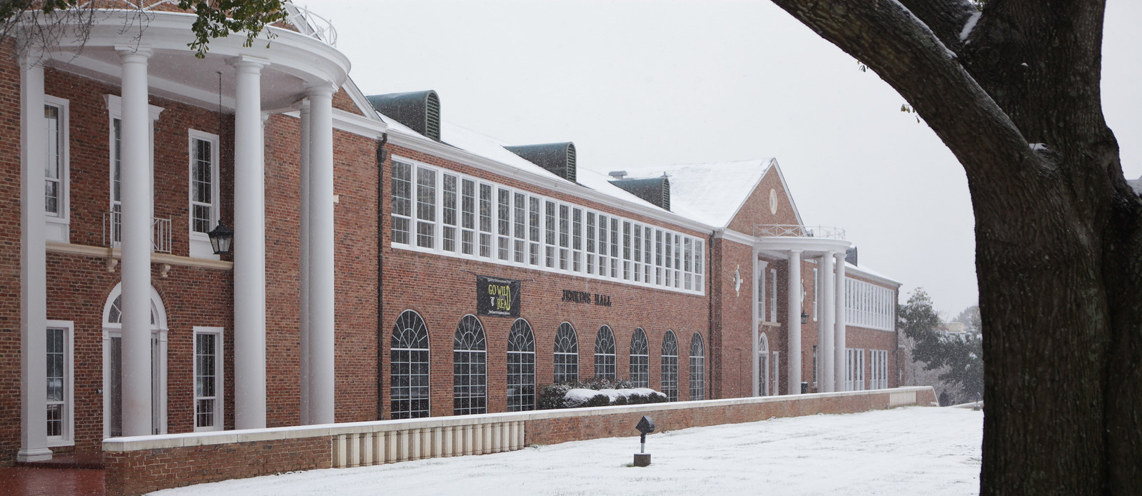 Jenkins snow featured sized