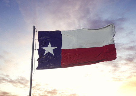 GOVT 2306 - Texas Government